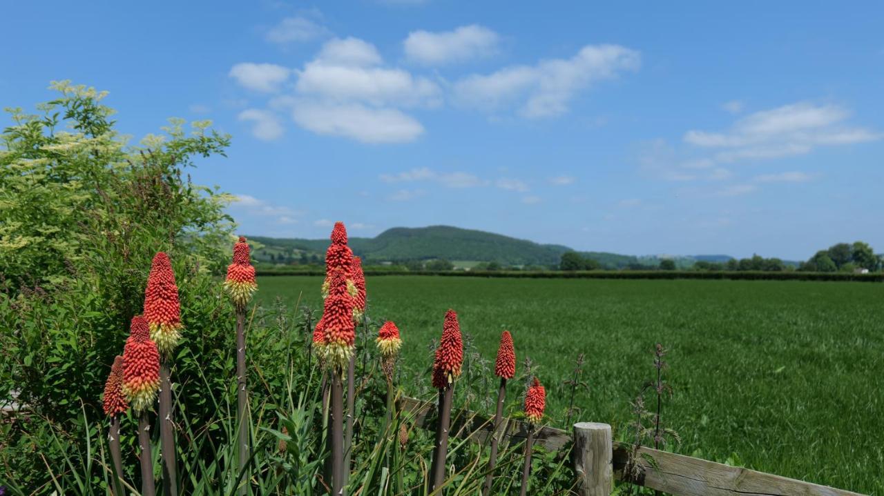 Country Cottage With Far Reaching Views Presteigne Zewnętrze zdjęcie