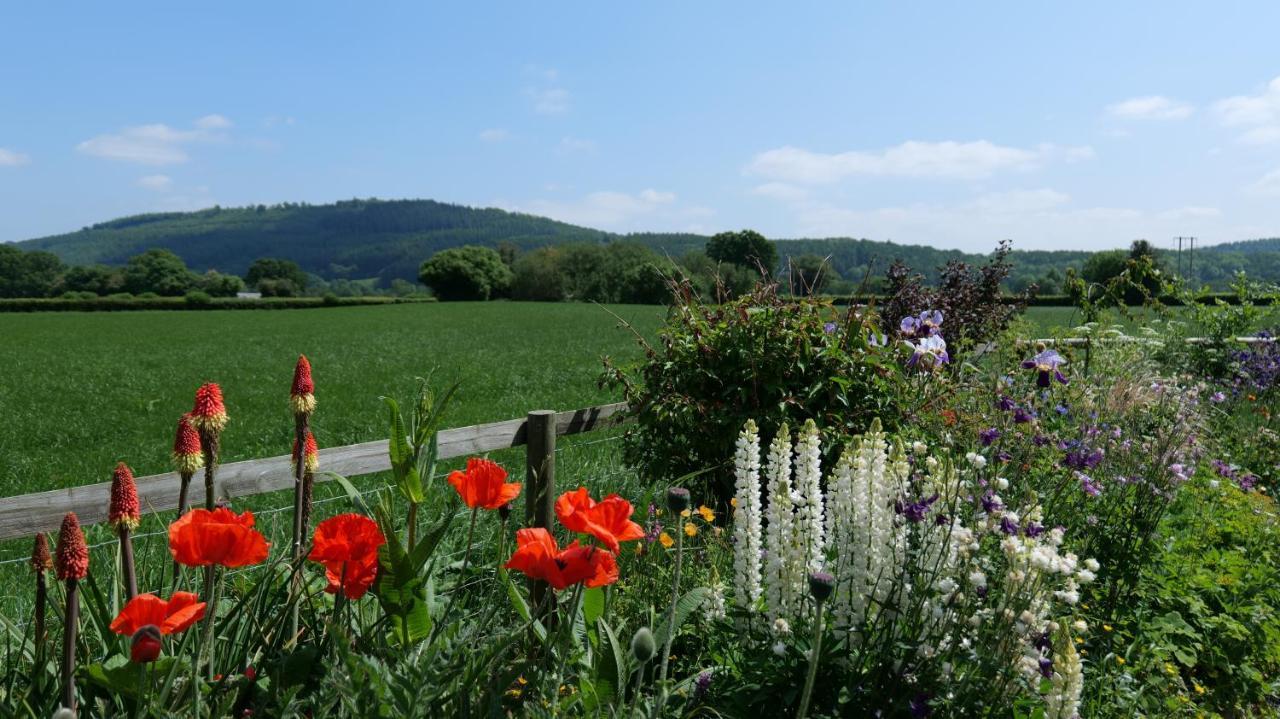 Country Cottage With Far Reaching Views Presteigne Zewnętrze zdjęcie